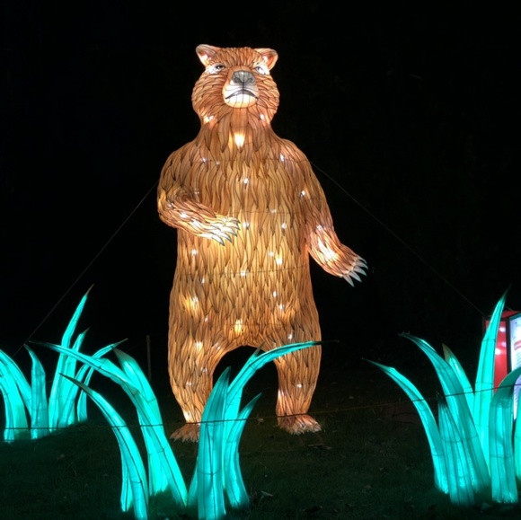 Meet your Posher, Woo - Picture 1 of 1